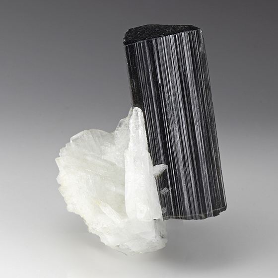  Schorl with Albite from Shengus, Skardu, Baltistan,  Gilgit-Baltistan, Pakistan